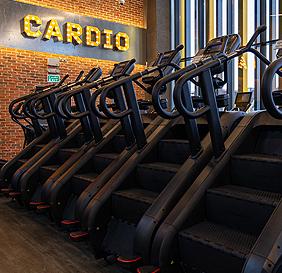 Body Masters - Membership